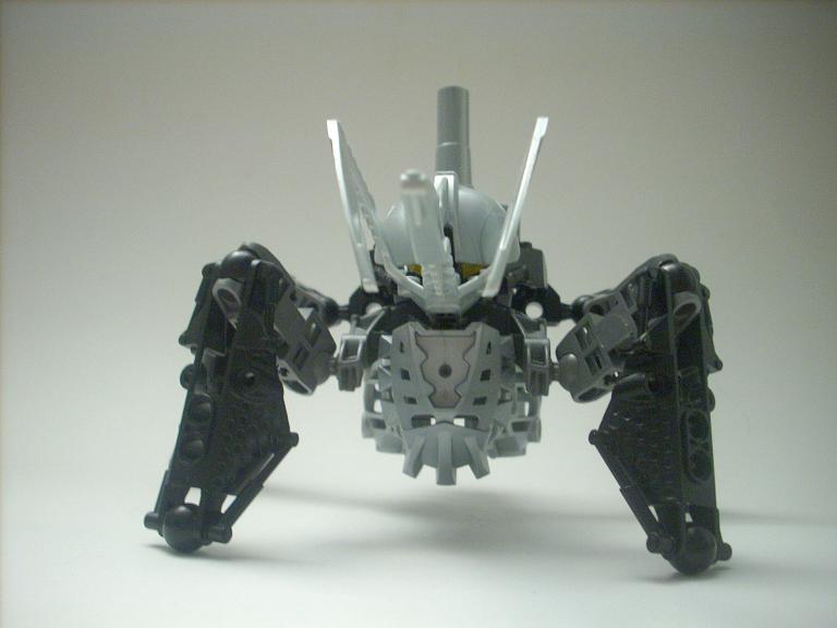 celharax_01.jpg