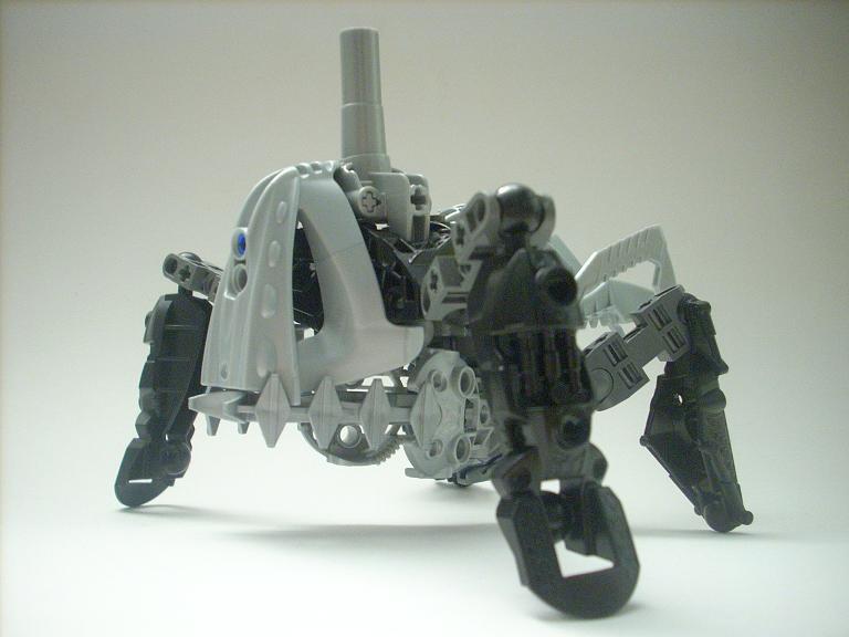 celharax_03.jpg