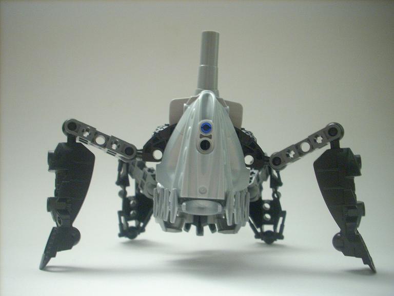 celharax_04.jpg