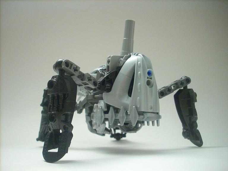 celharax_05.jpg