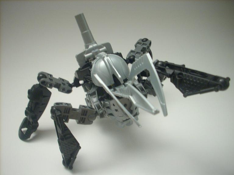 celharax_09.jpg