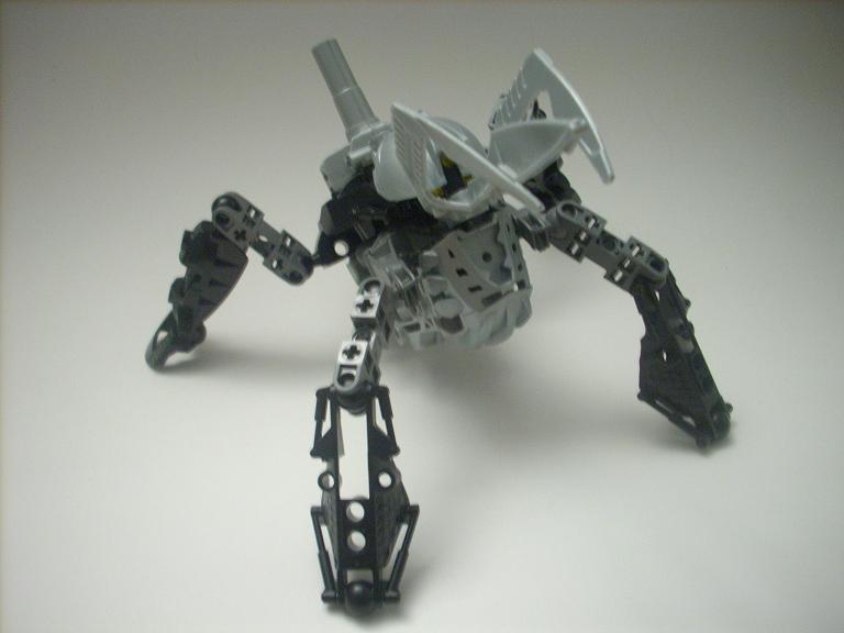 celharax_10.jpg