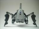 celharax_04.jpg