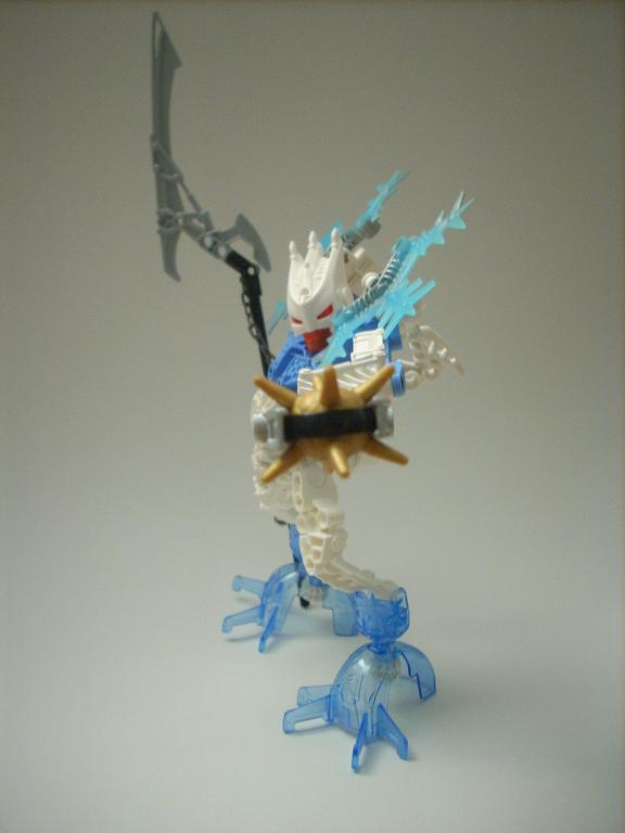 certavus_04.jpg