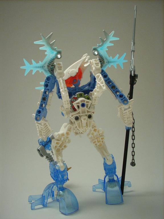 certavus_05.jpg