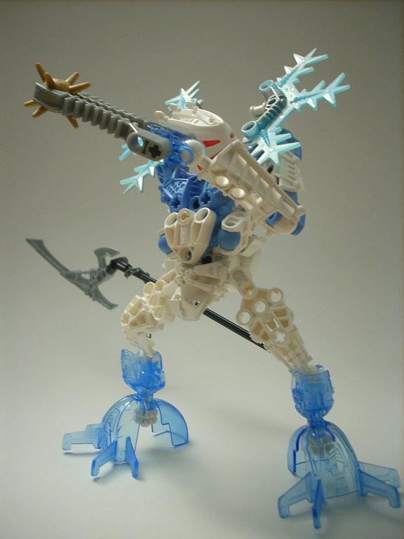 certavus_06.jpg