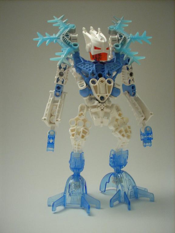 certavus_07.jpg
