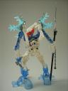 certavus_05.jpg