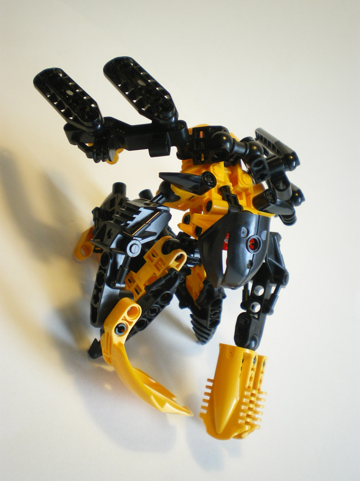 imgp1102.jpg