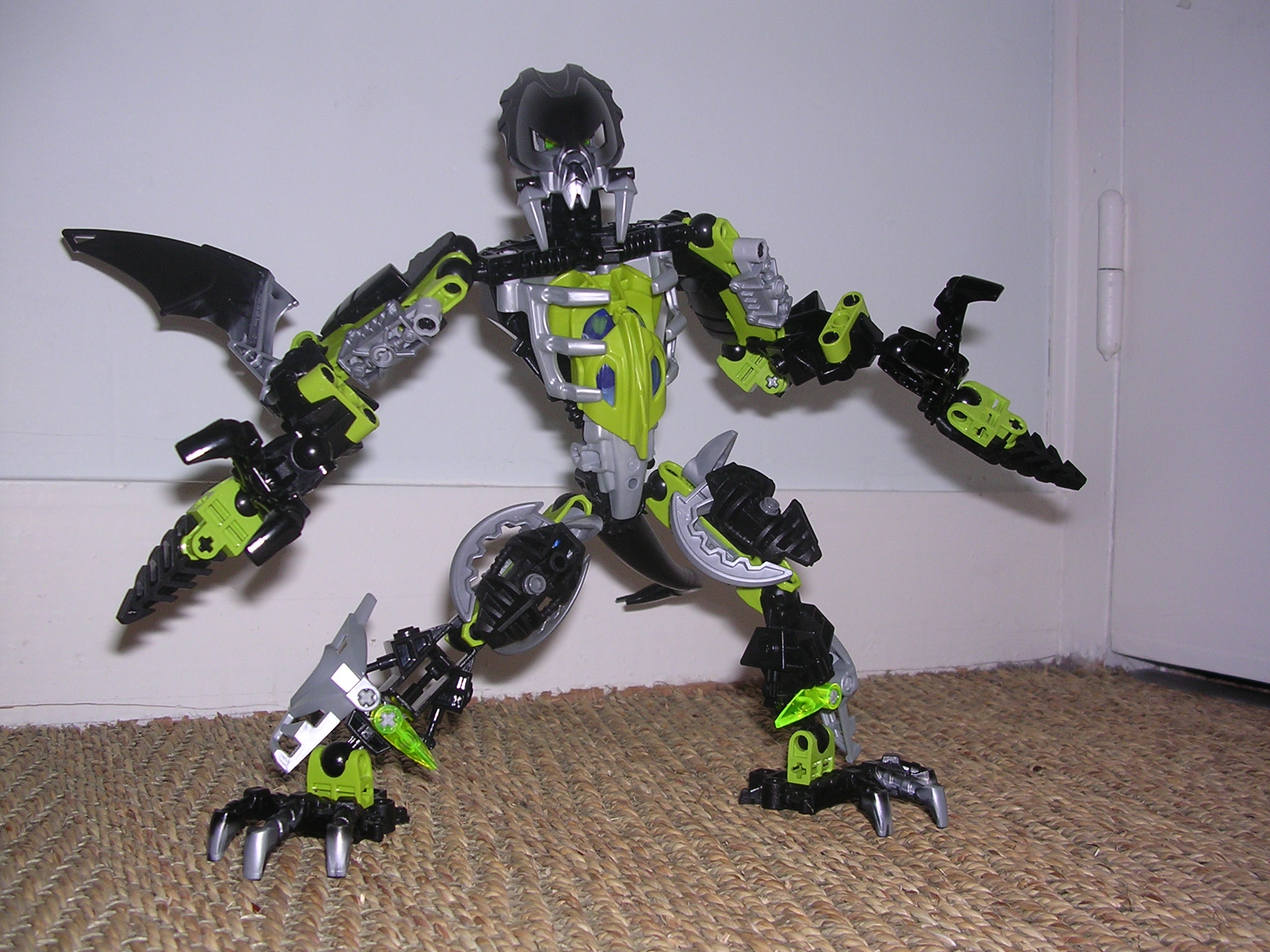dscn2597.jpg