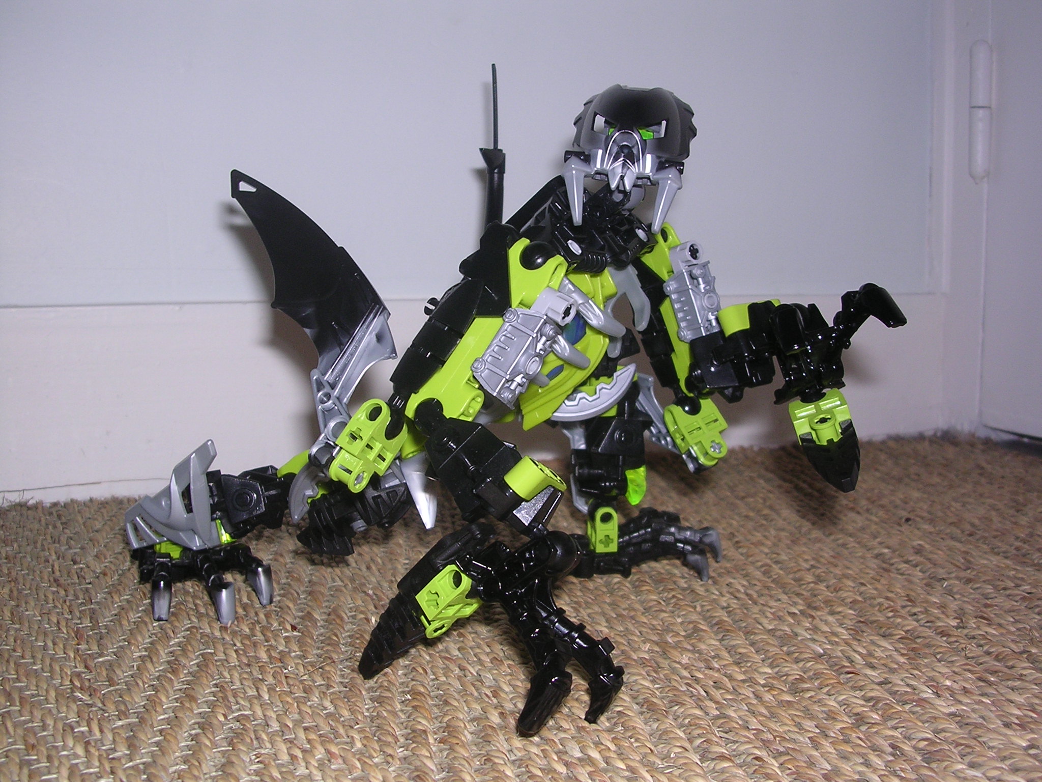dscn2602.jpg