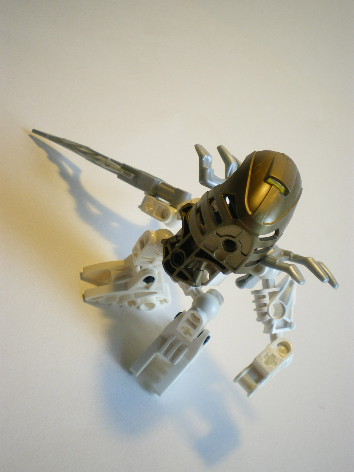 imgp1157.jpg