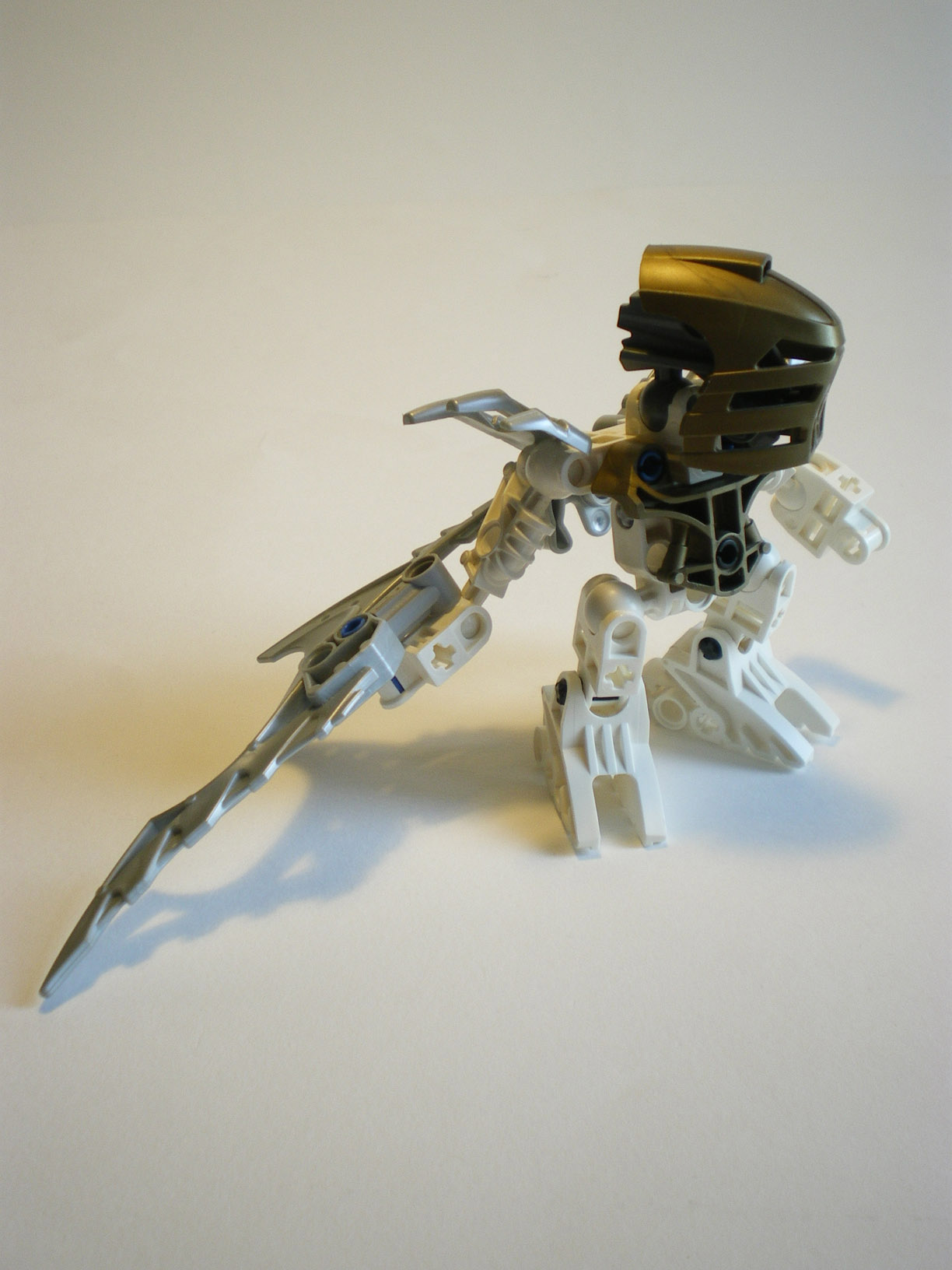 imgp1158.jpg