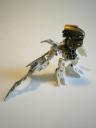 imgp1158.jpg