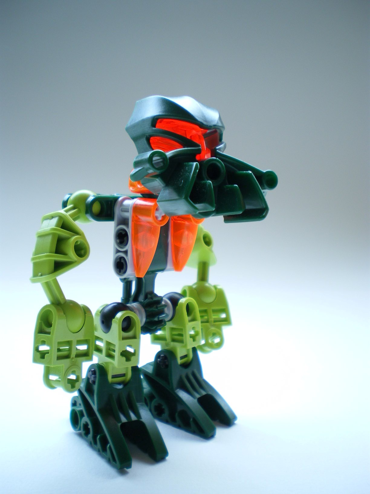 imgp0485.jpg