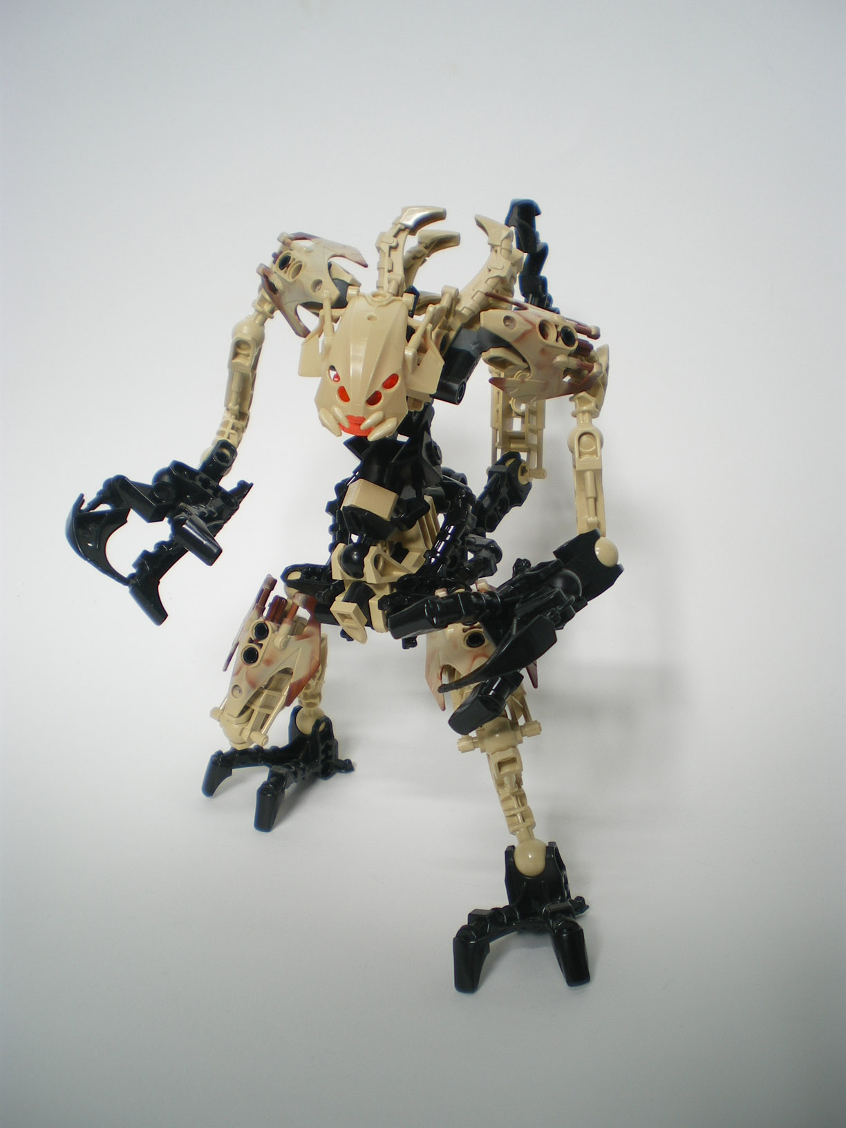 imgp6521.jpg