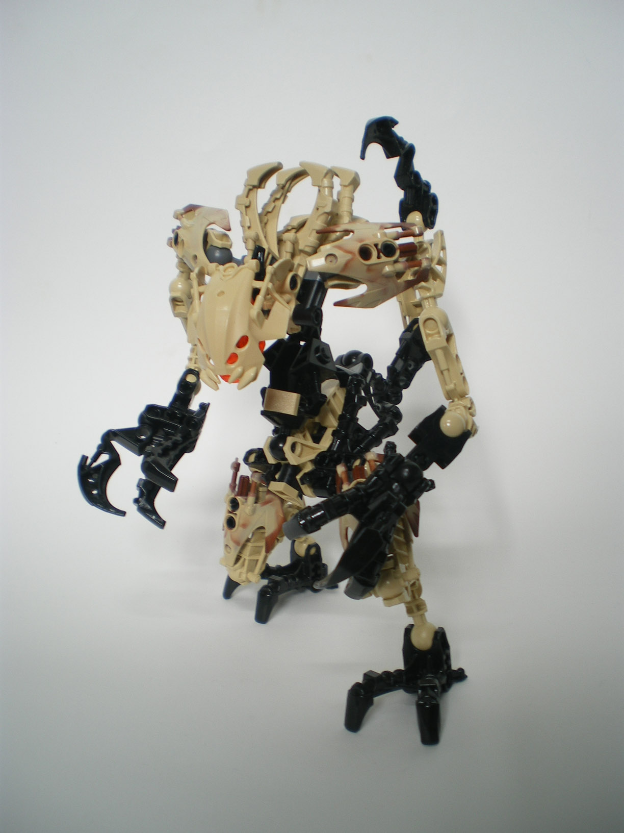 imgp6528.jpg