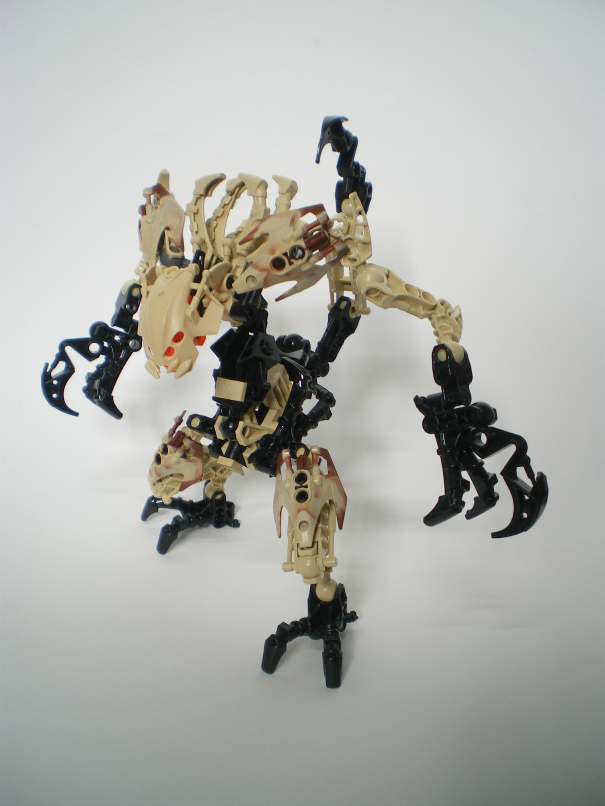 imgp6530.jpg