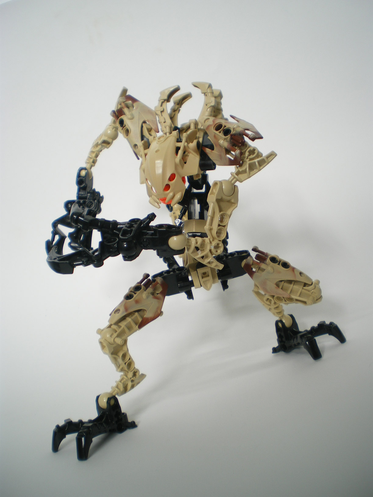 imgp6532.jpg