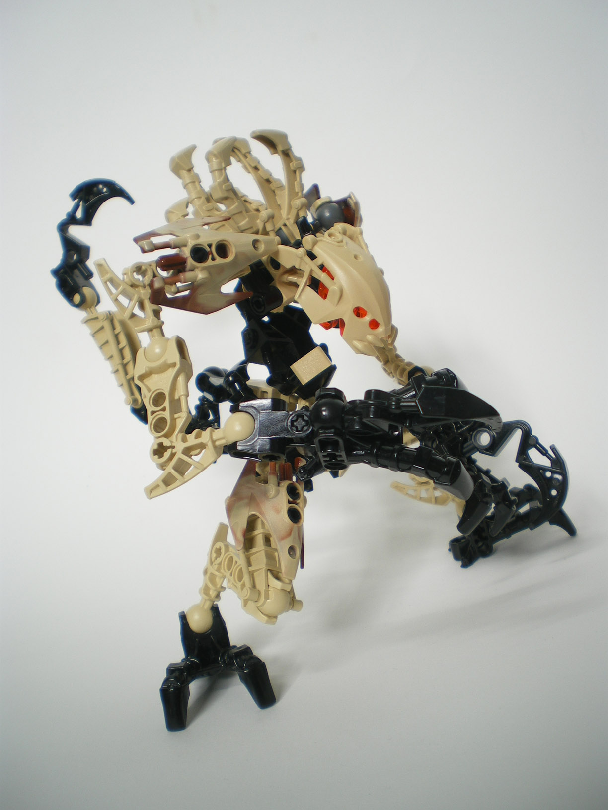 imgp6540.jpg