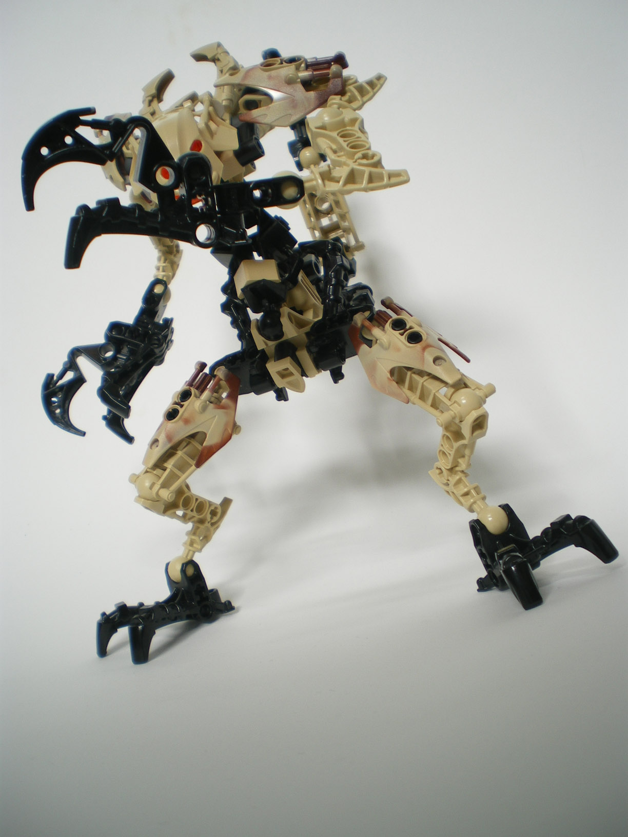 imgp6543.jpg