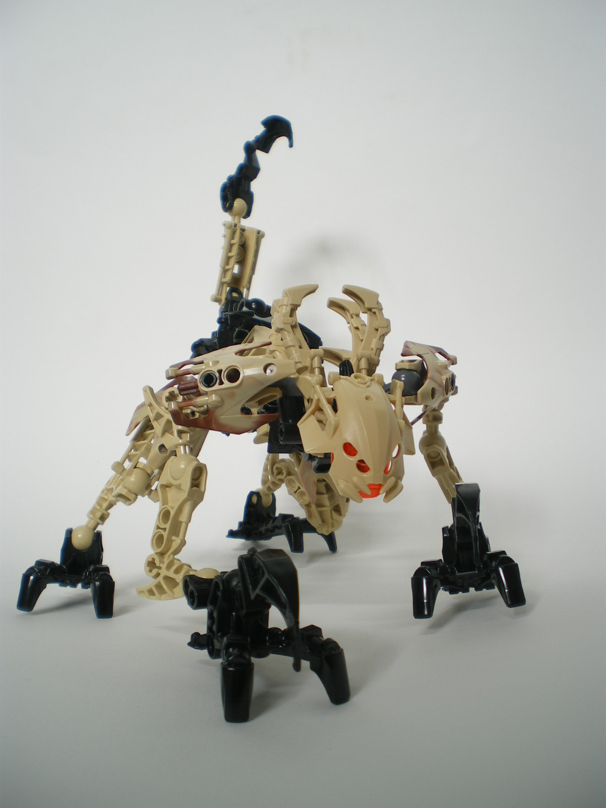 imgp6548.jpg