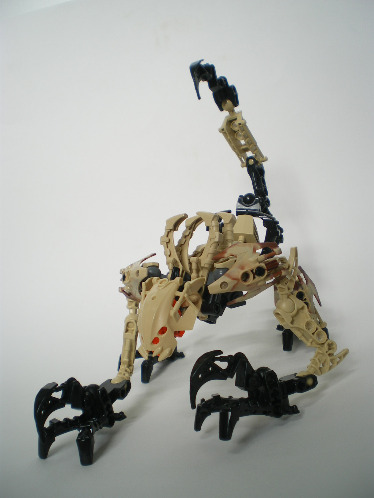 imgp6549.jpg