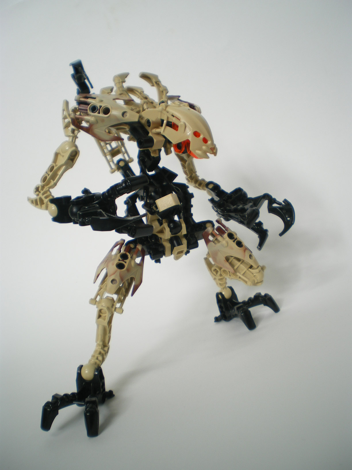 imgp6552.jpg