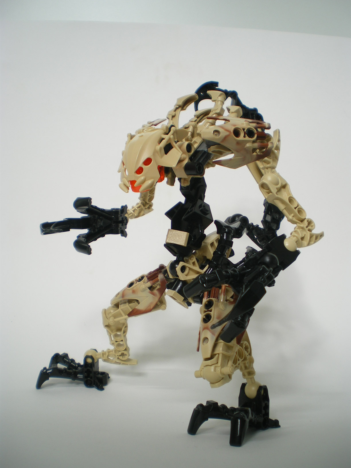 imgp6554.jpg