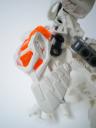 Skeleton-Genreral