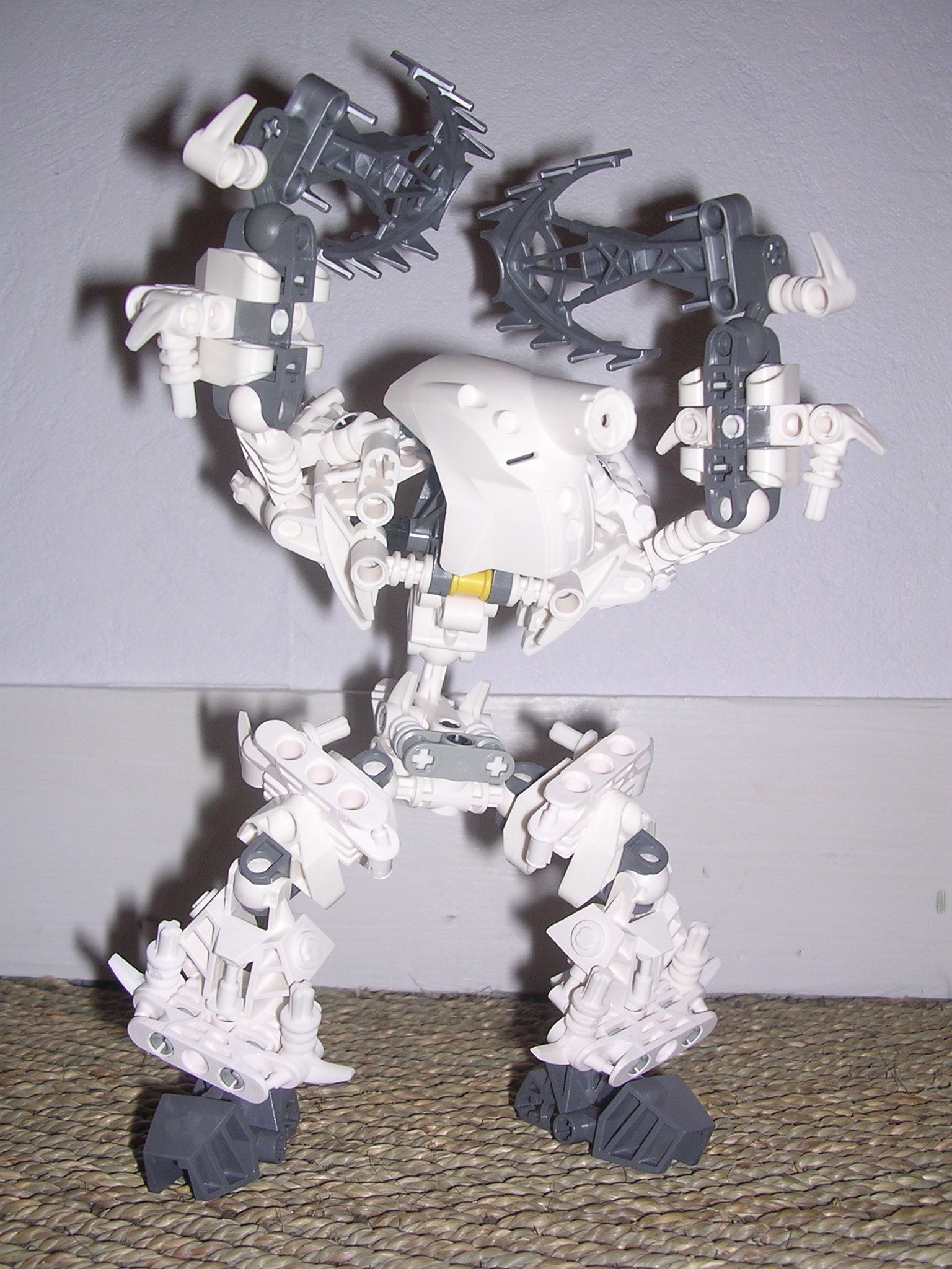 12_kolahreh_fight_pose.jpg