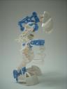 tokpah_02.jpg