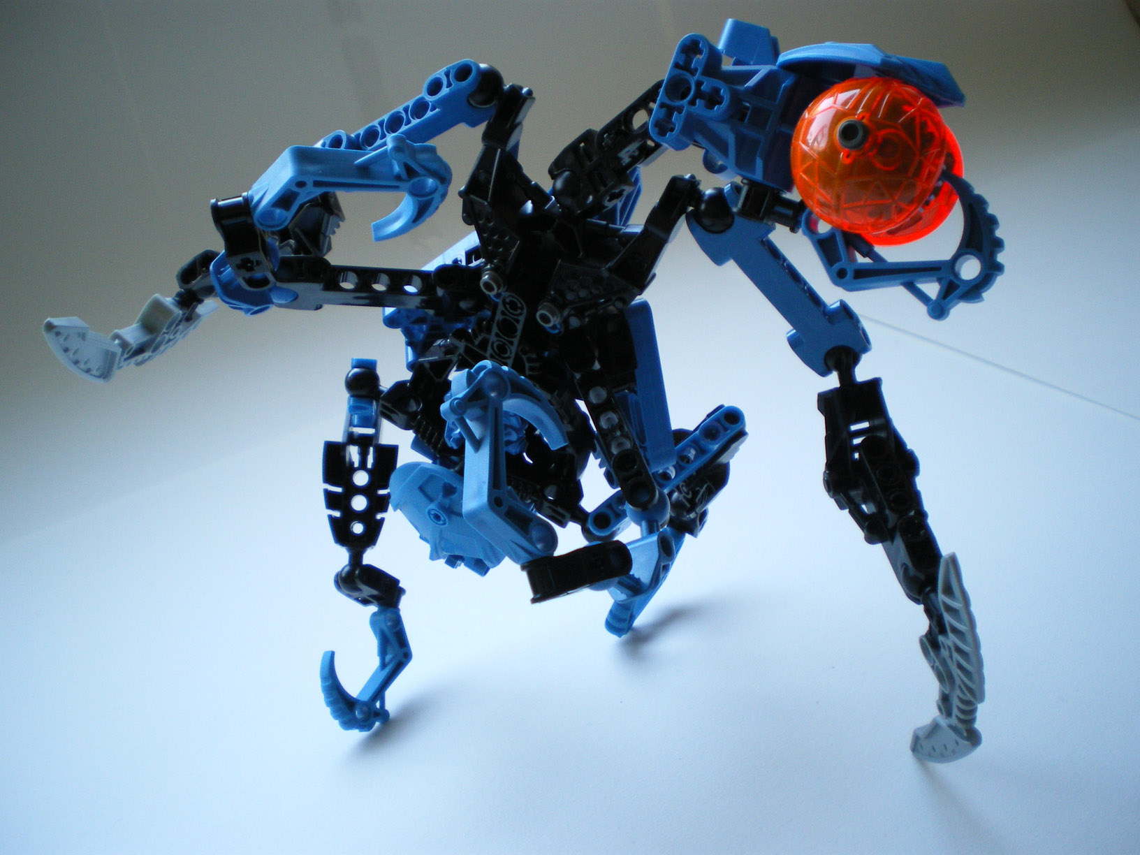 imgp0604.jpg