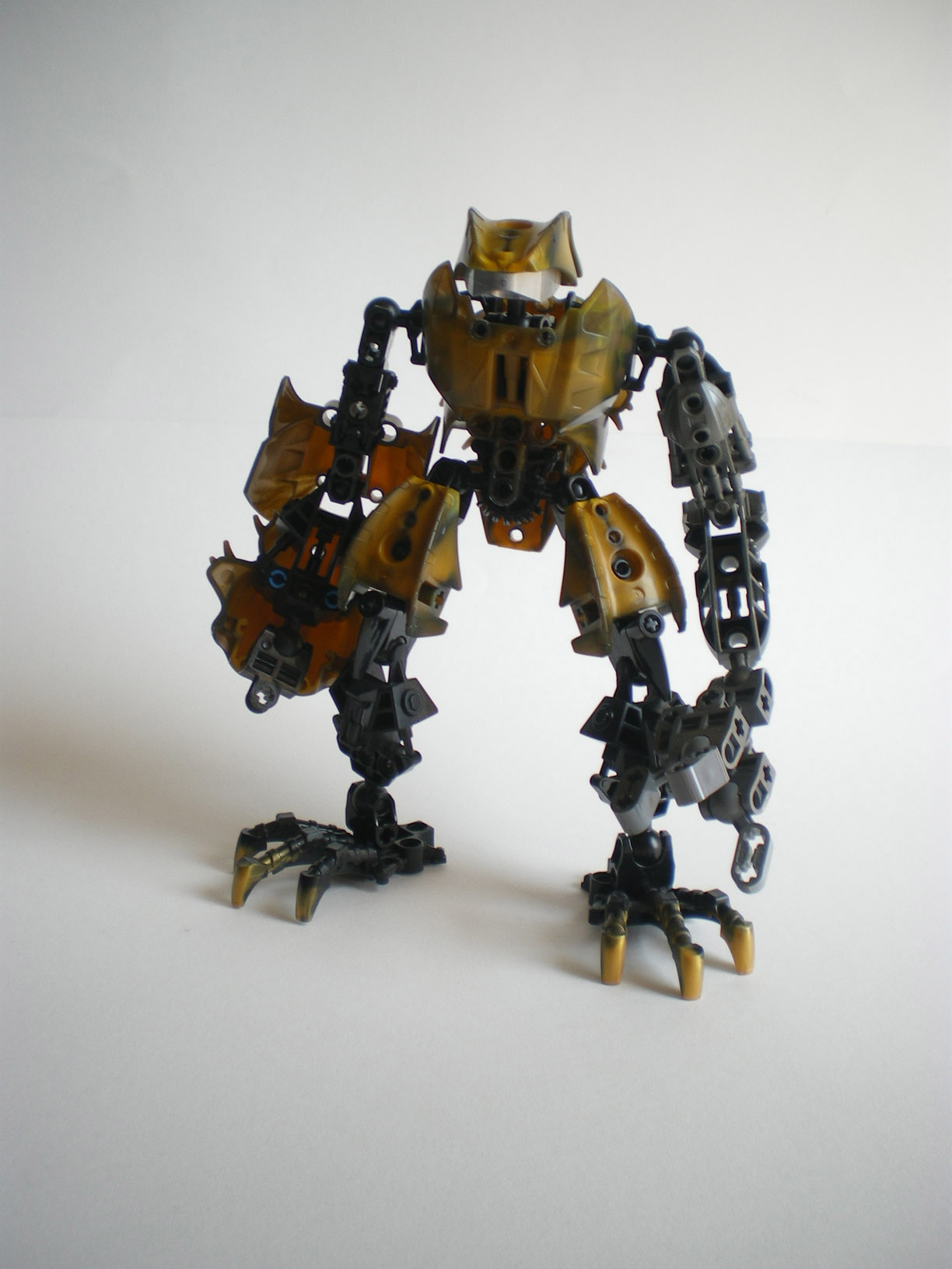 imgp8975.jpg