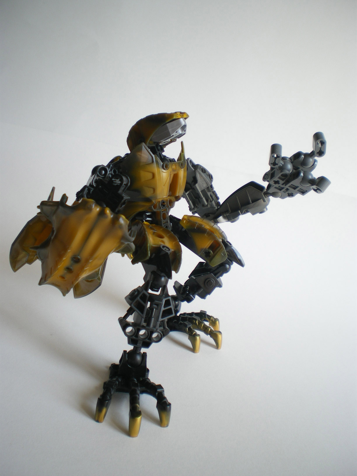 imgp8991.jpg