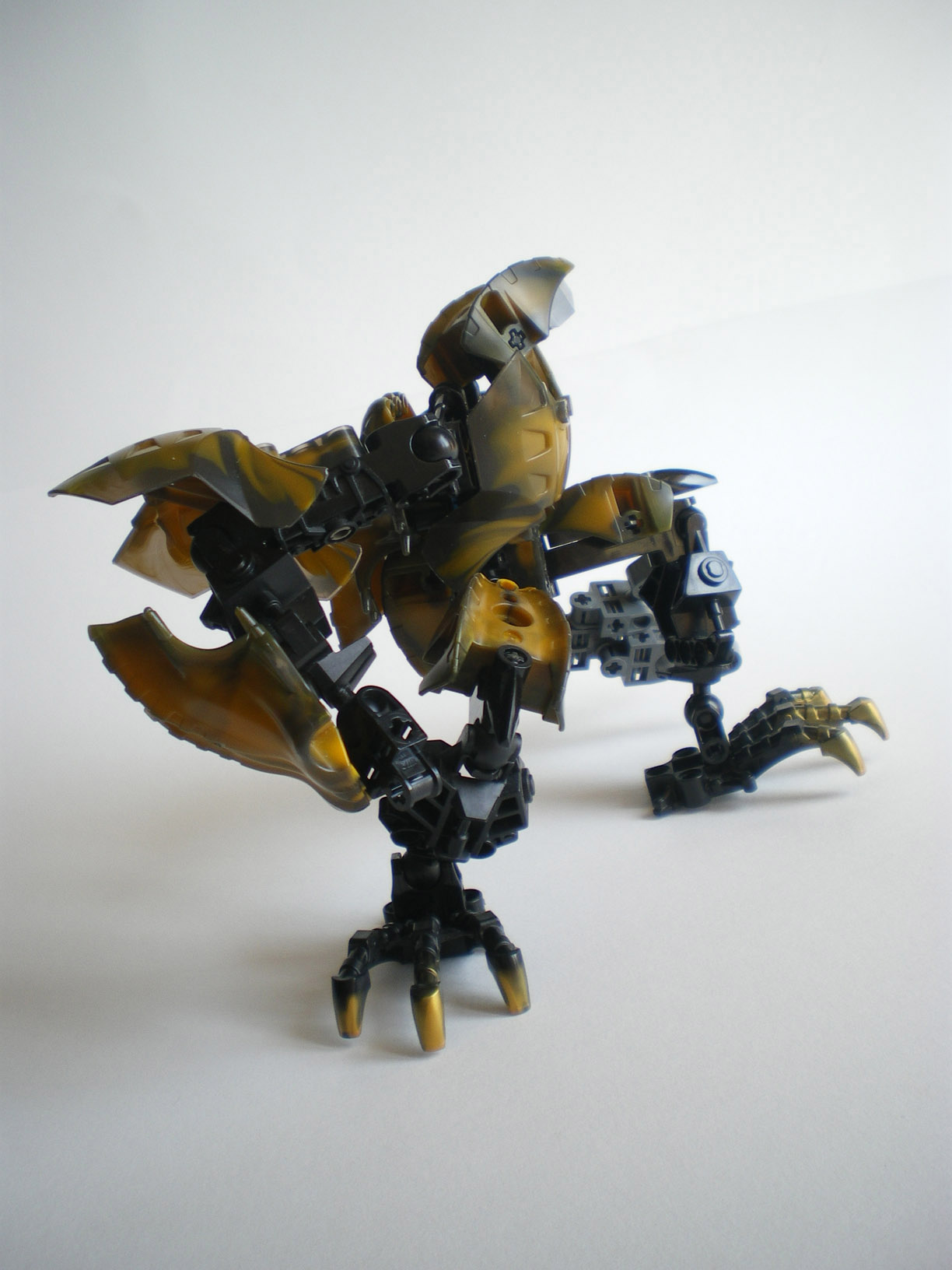 imgp8998.jpg
