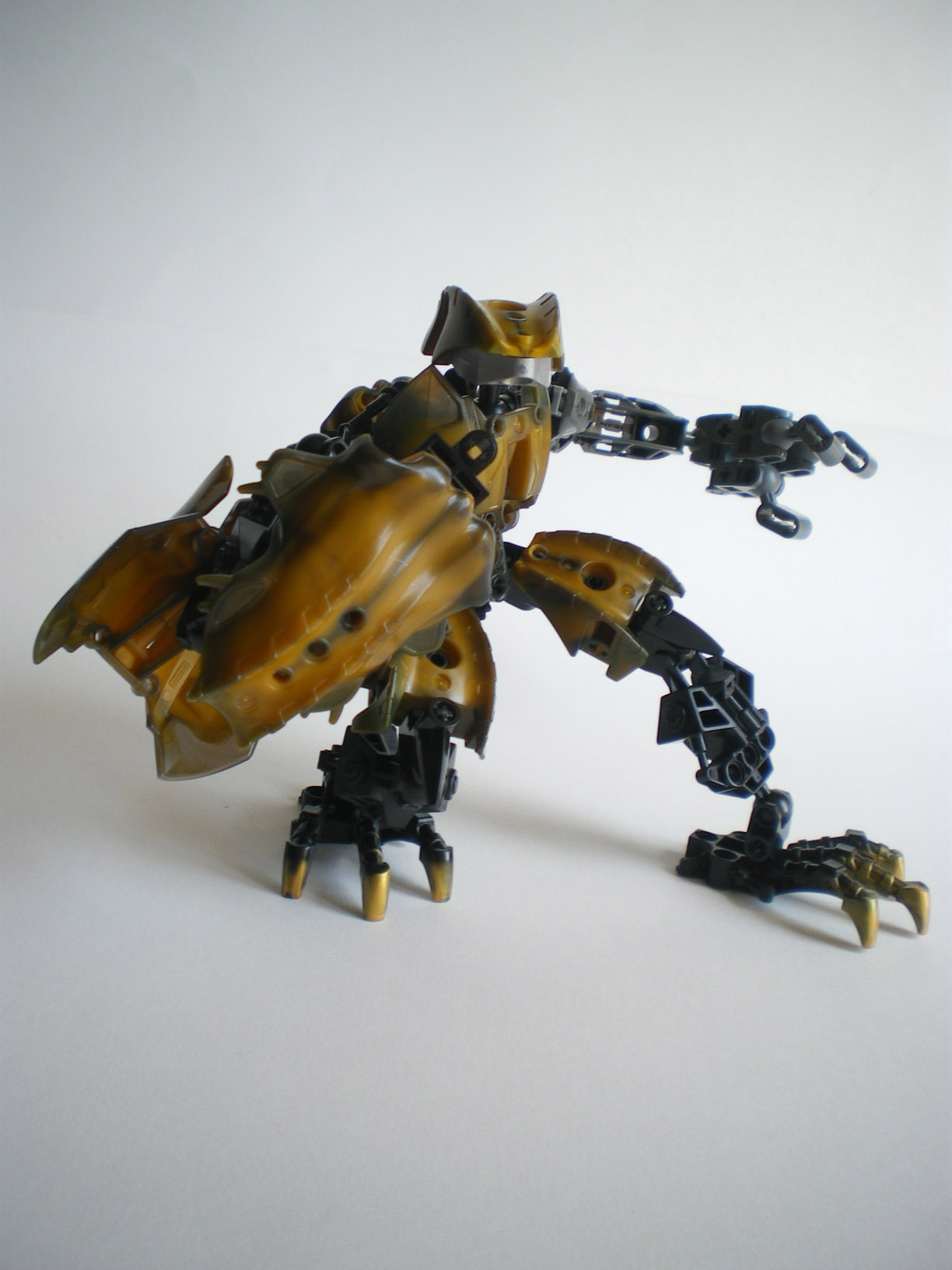 imgp9001.jpg