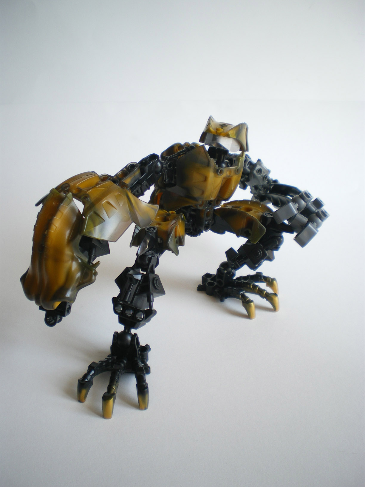 imgp9005.jpg
