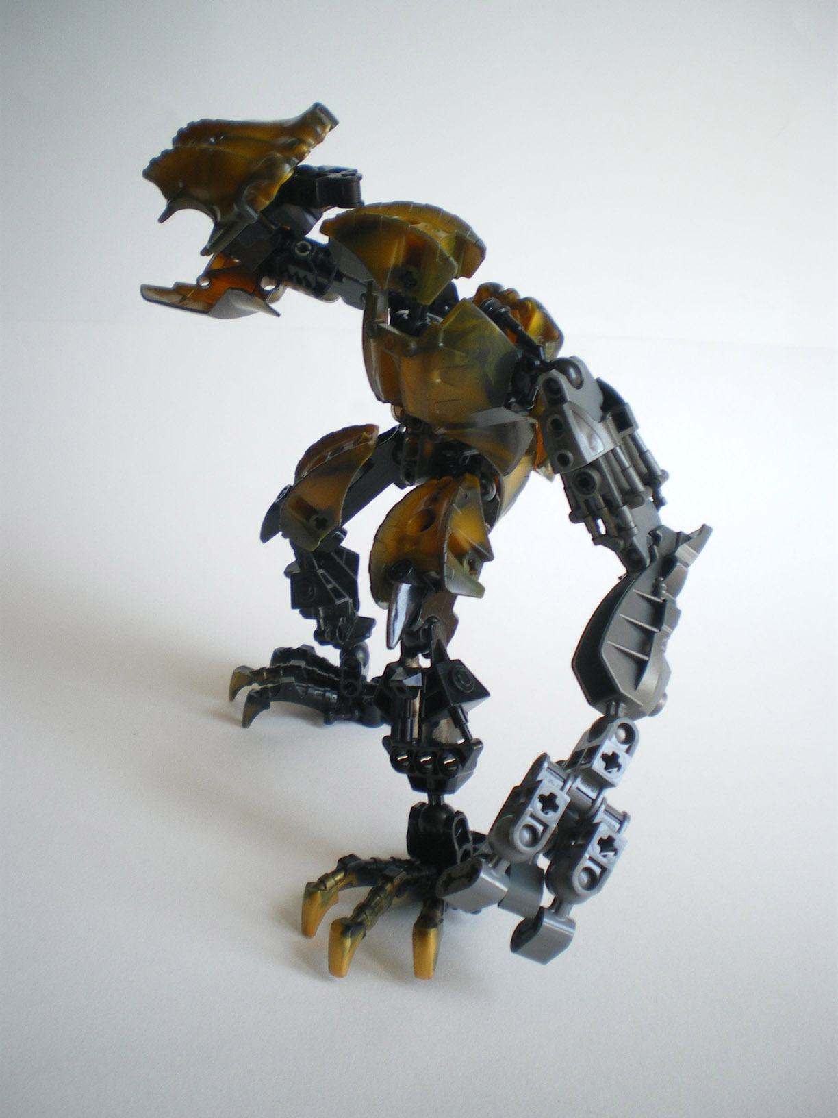 imgp9010.jpg