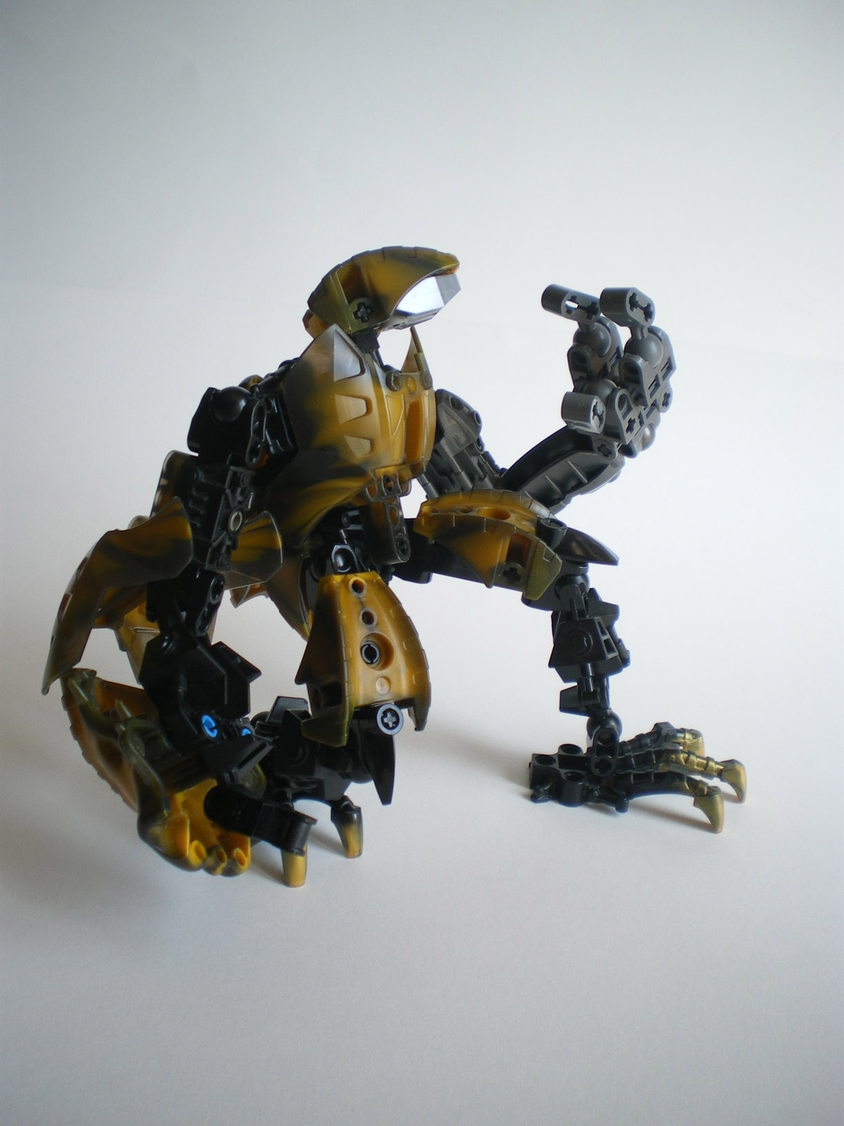 imgp9013.jpg
