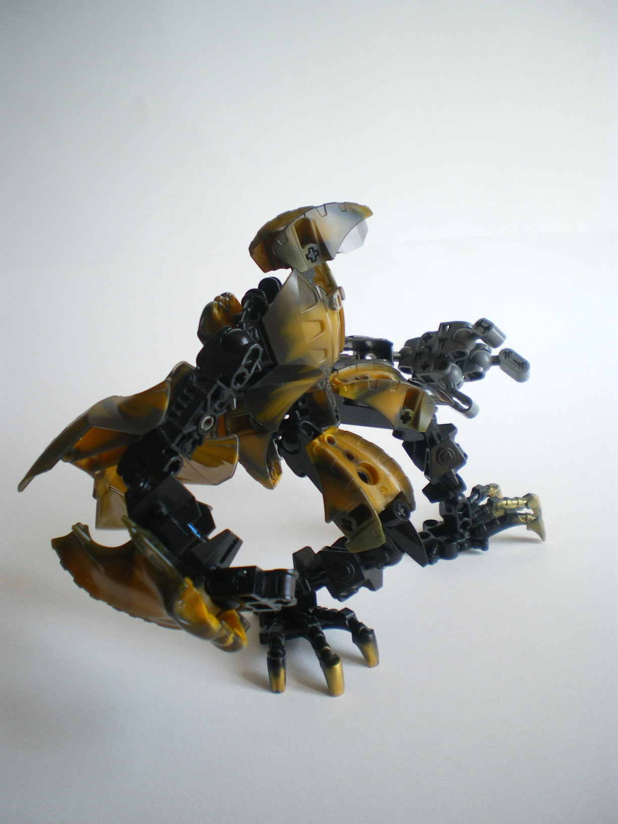 imgp9015.jpg