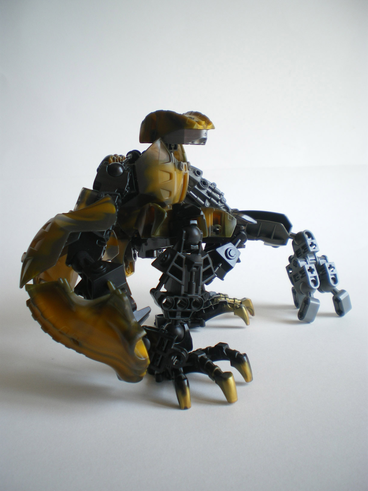 imgp9023.jpg