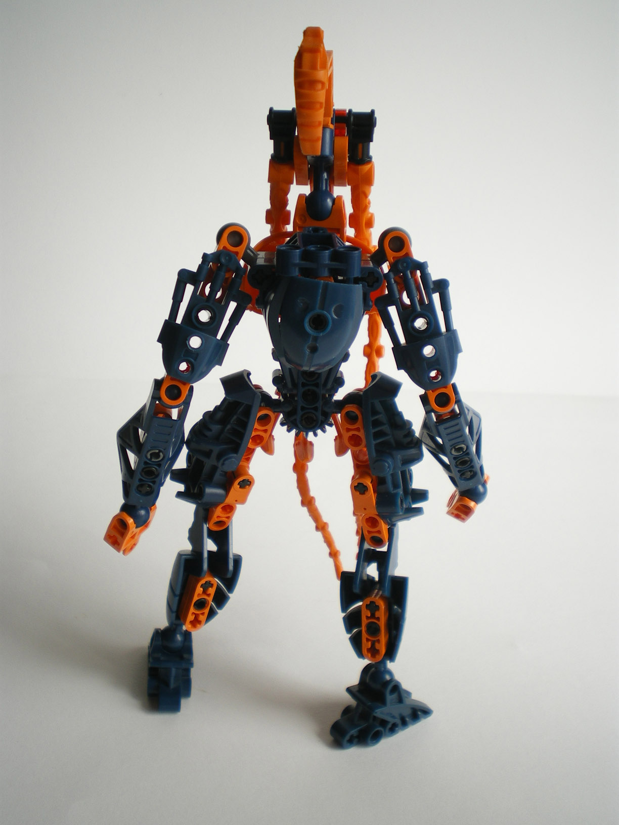 imgp9238.jpg