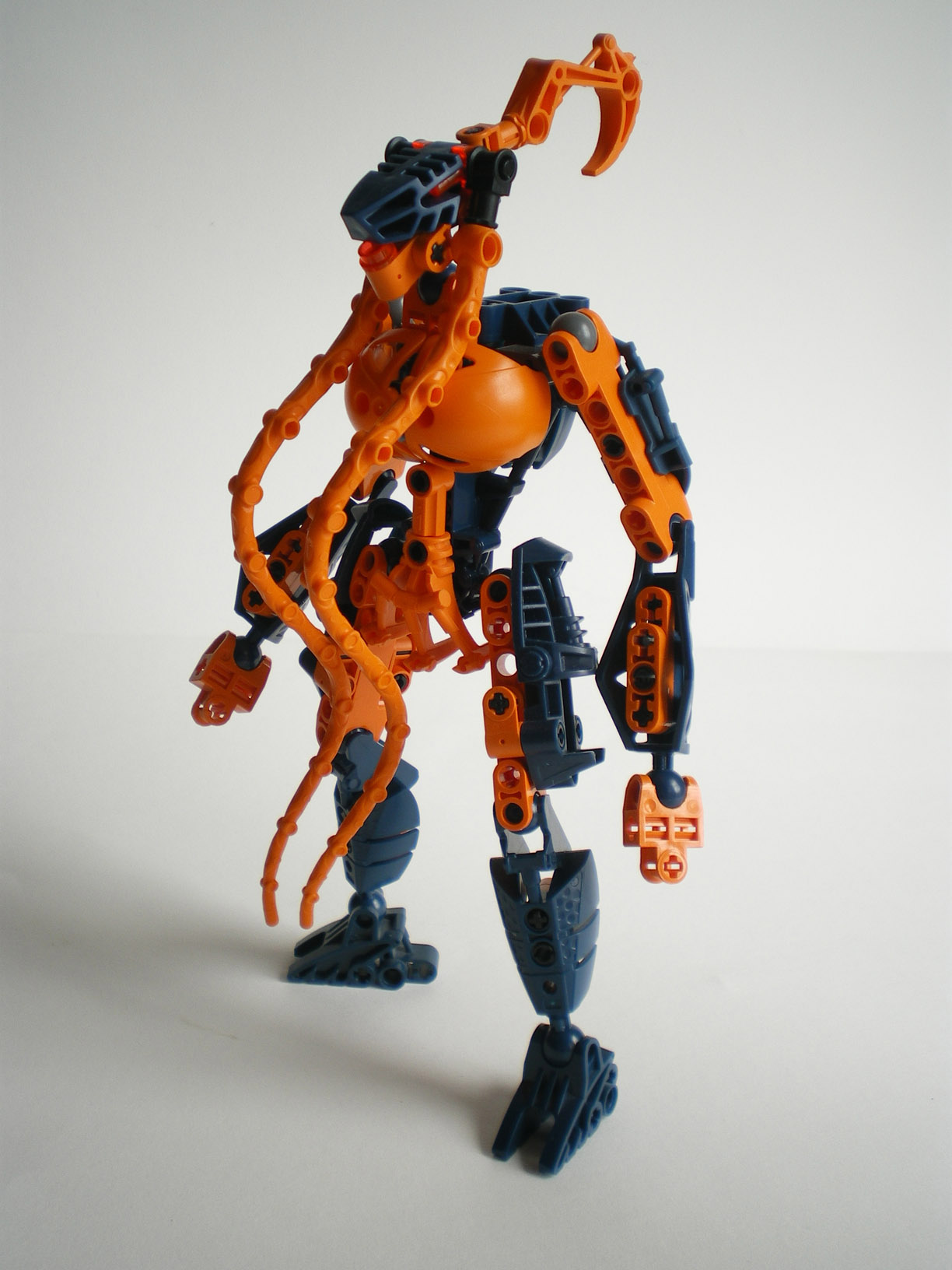 imgp9241.jpg