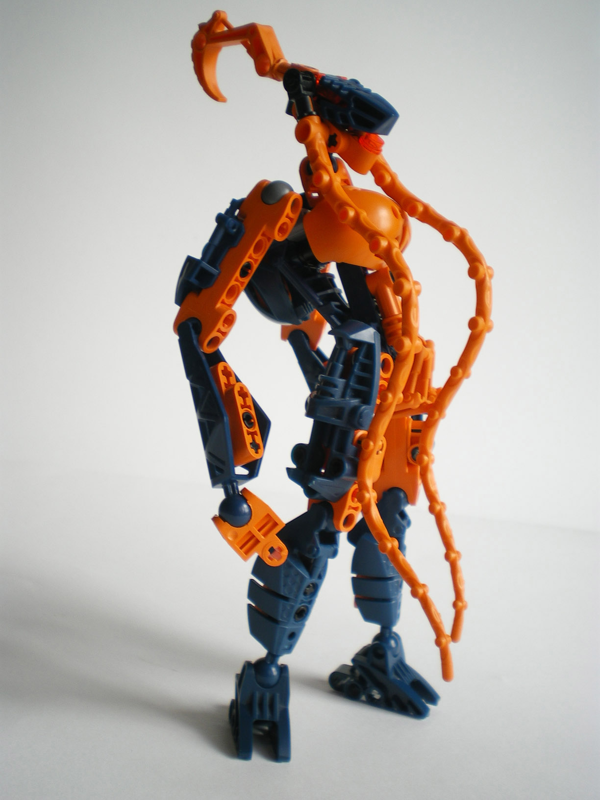 imgp9250.jpg