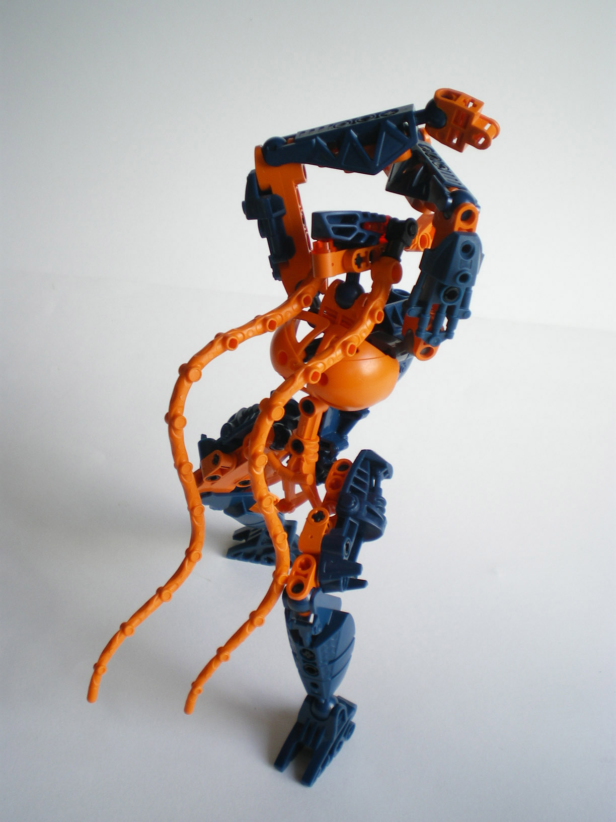 imgp9258.jpg