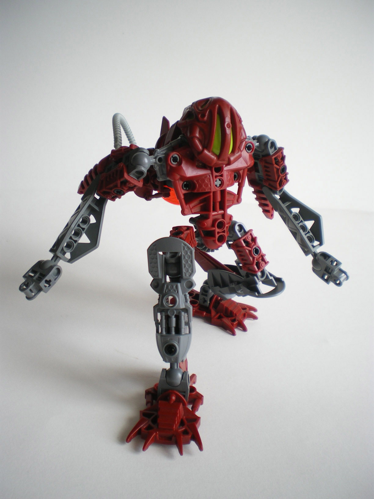 imgp9164.jpg