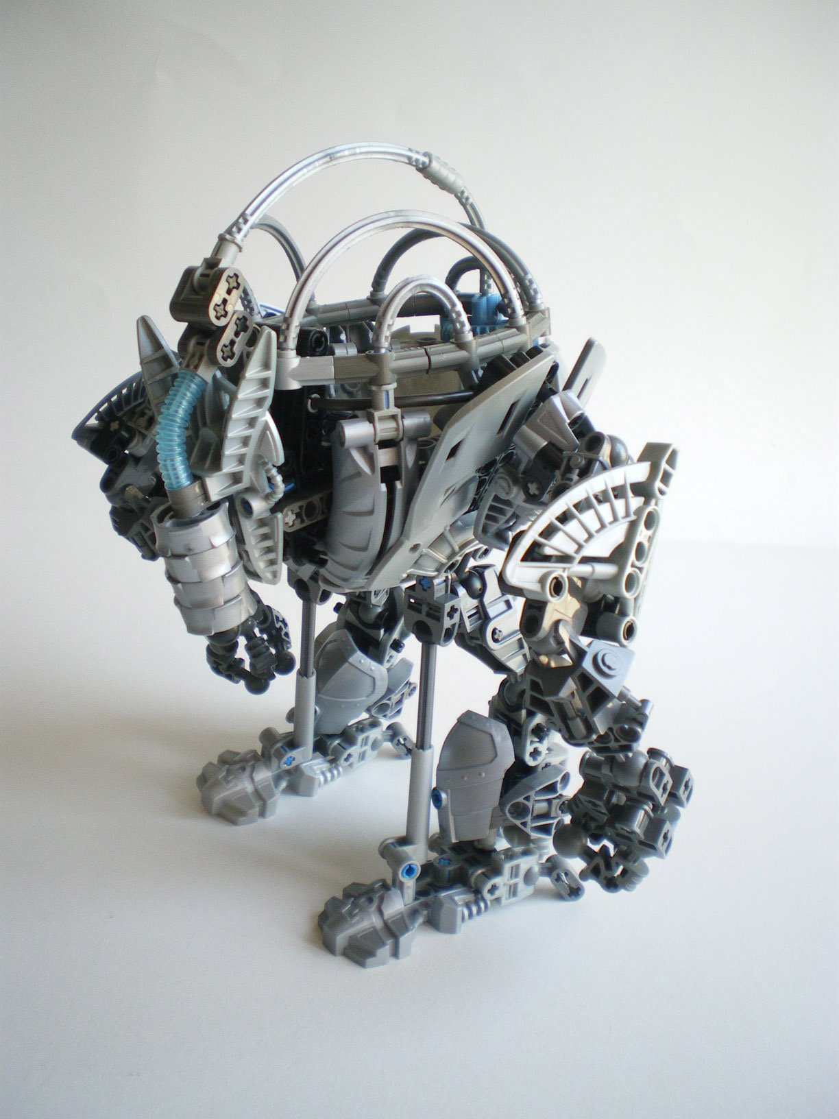 imgp8800.jpg