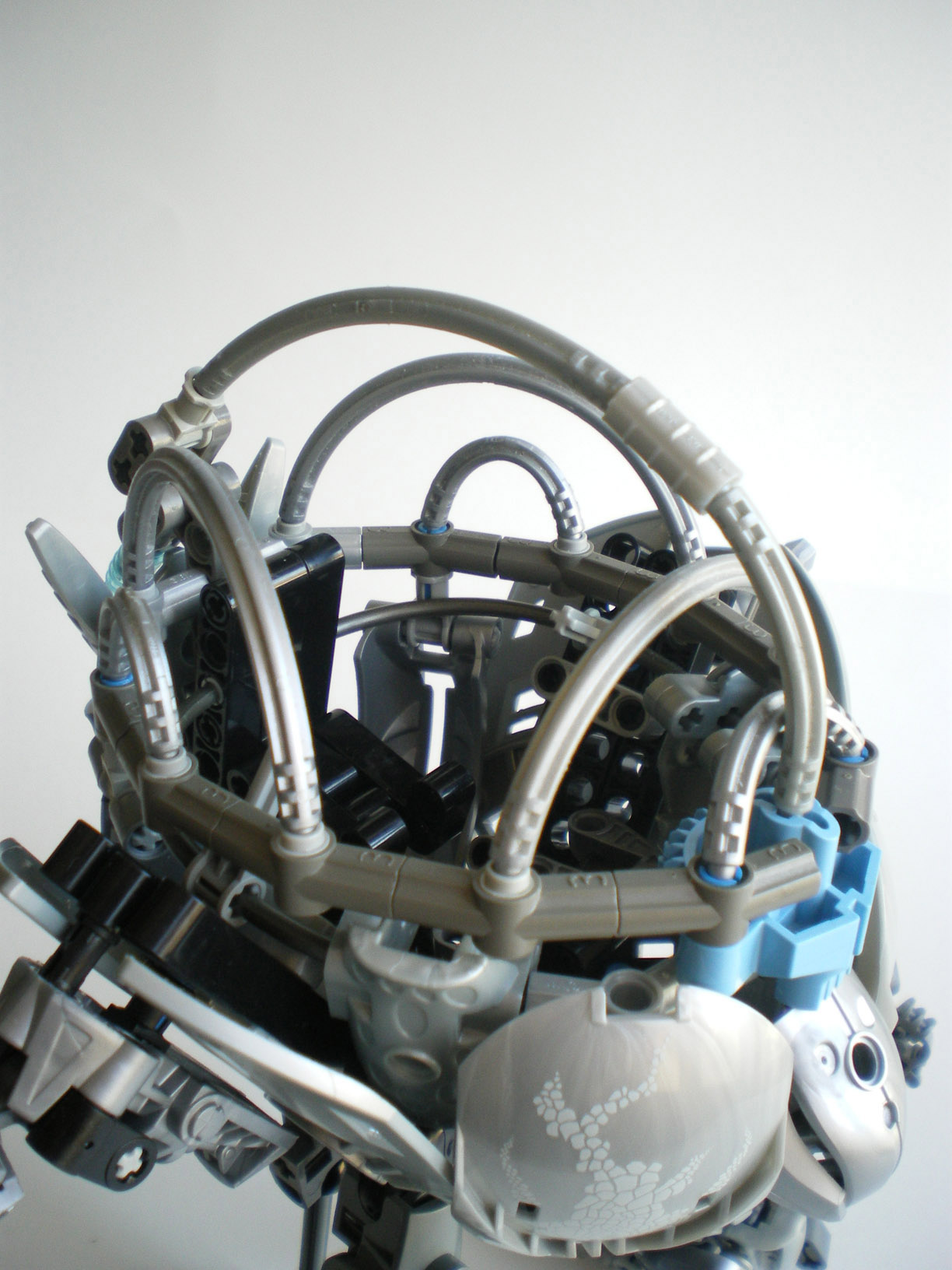 imgp8812.jpg