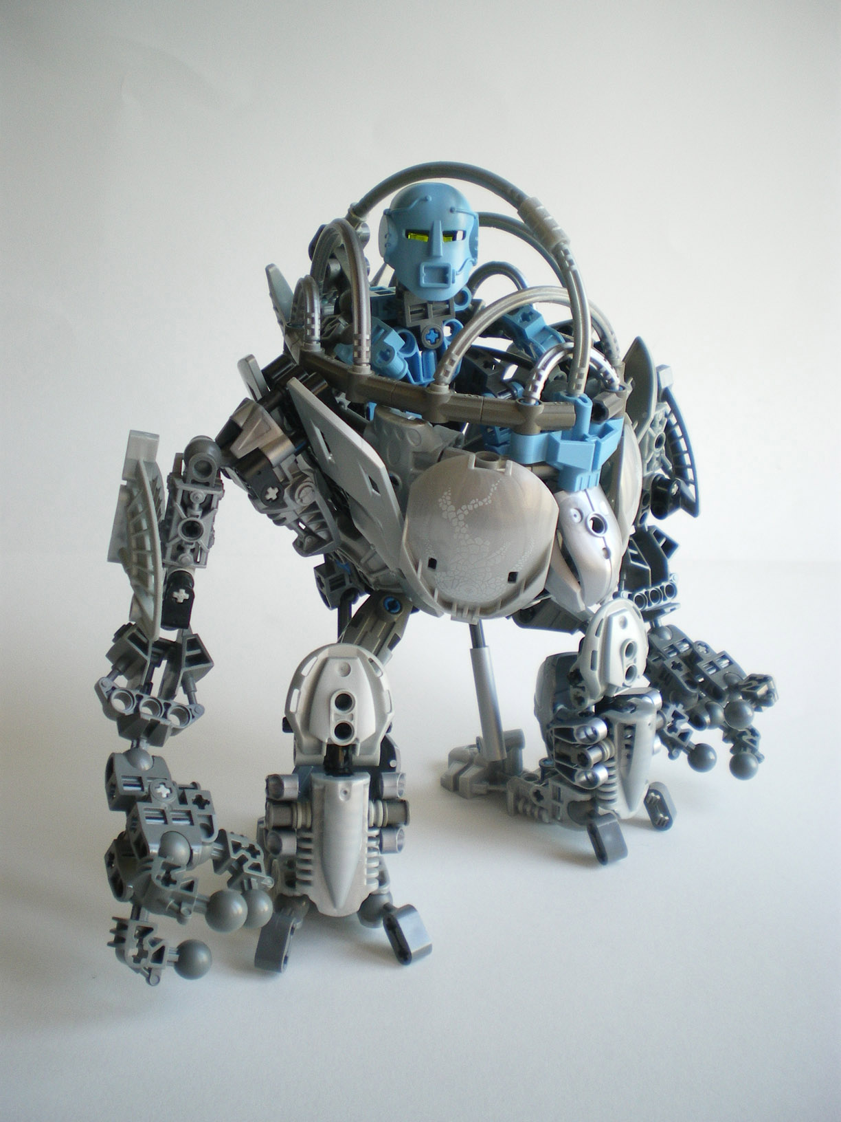 imgp8832.jpg